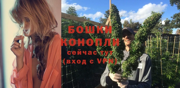 амф Бородино