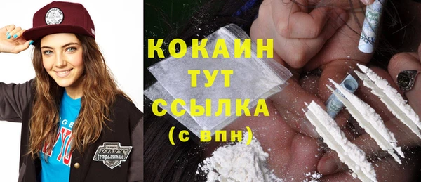 тгк Бронницы