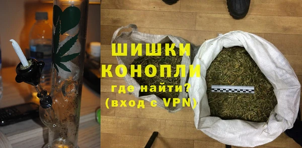 амф Бородино